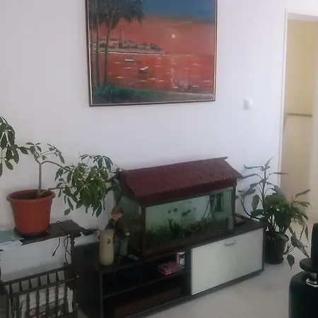 Mahala Apartment
